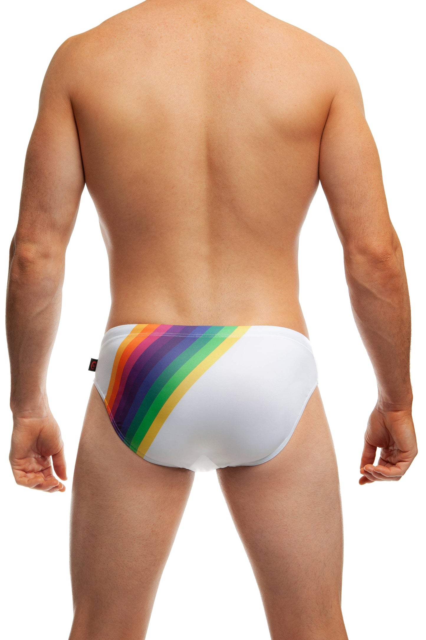 Rainbow Swim Brief: Black / M