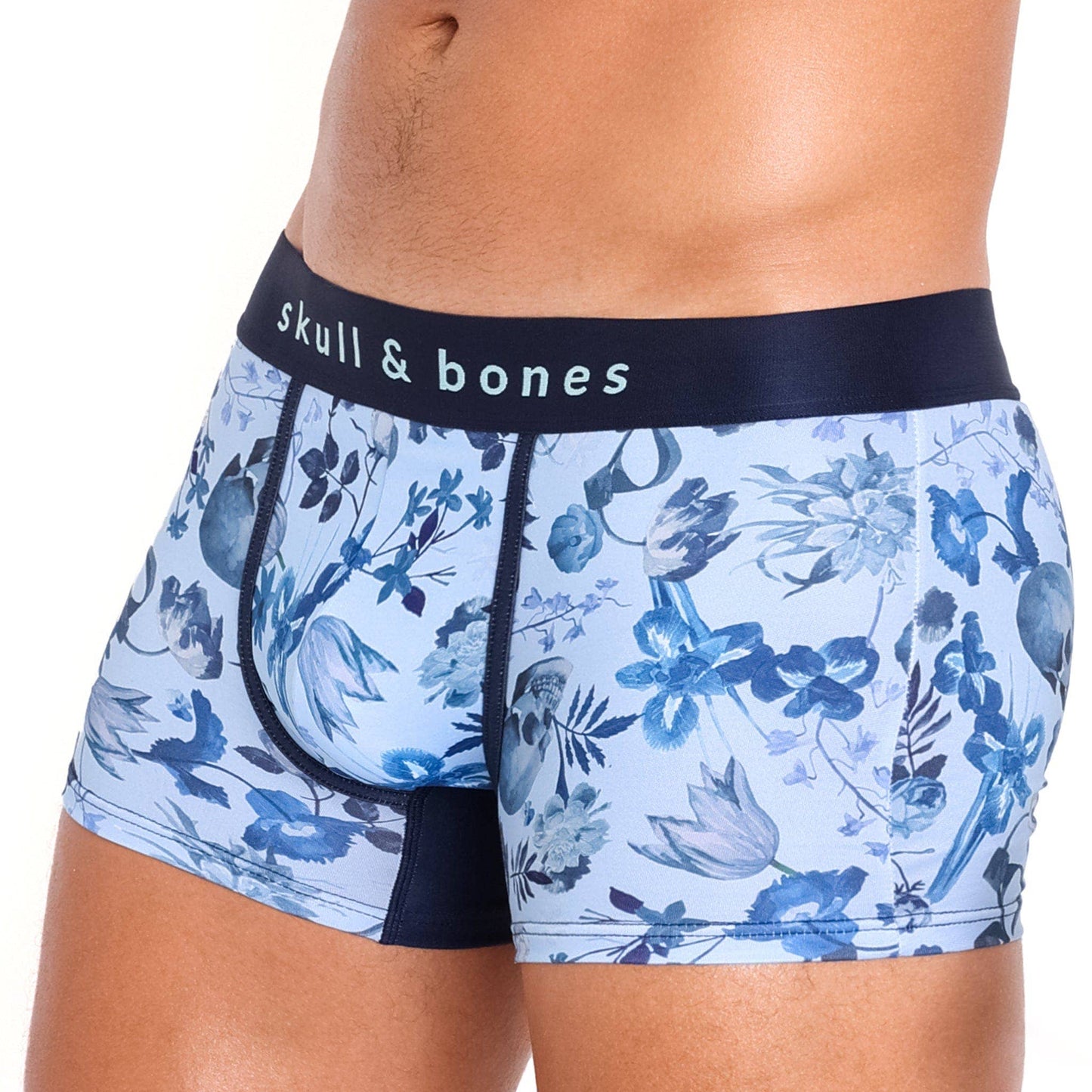 Hand Painted Dutch Floral Trunk Sky: LARGE