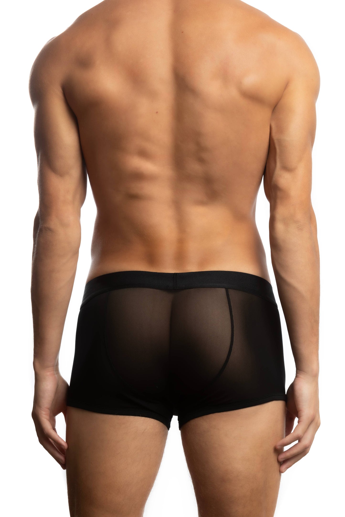 All Over Mesh Trunk: Black / M