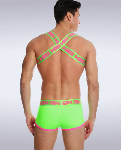 Lincoln Shoulder Harness