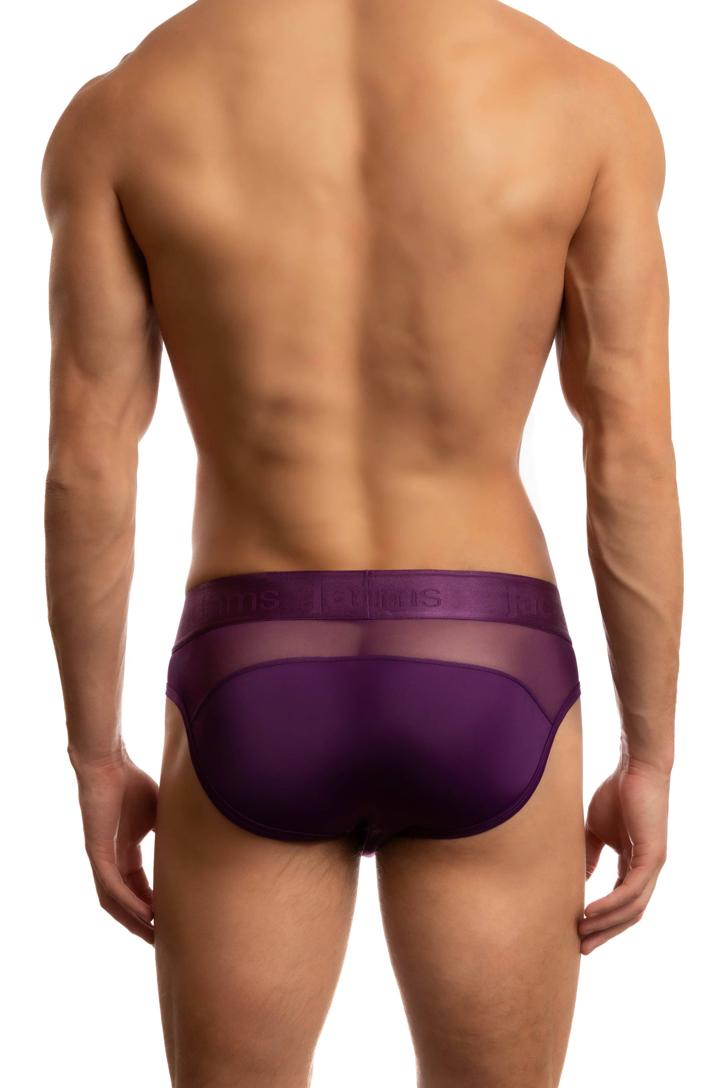 Monochrome Mesh Brief: Imperial Purple / M