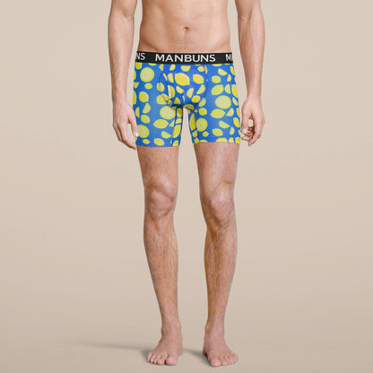 Men's Lemon Boxer Brief Underwear: M