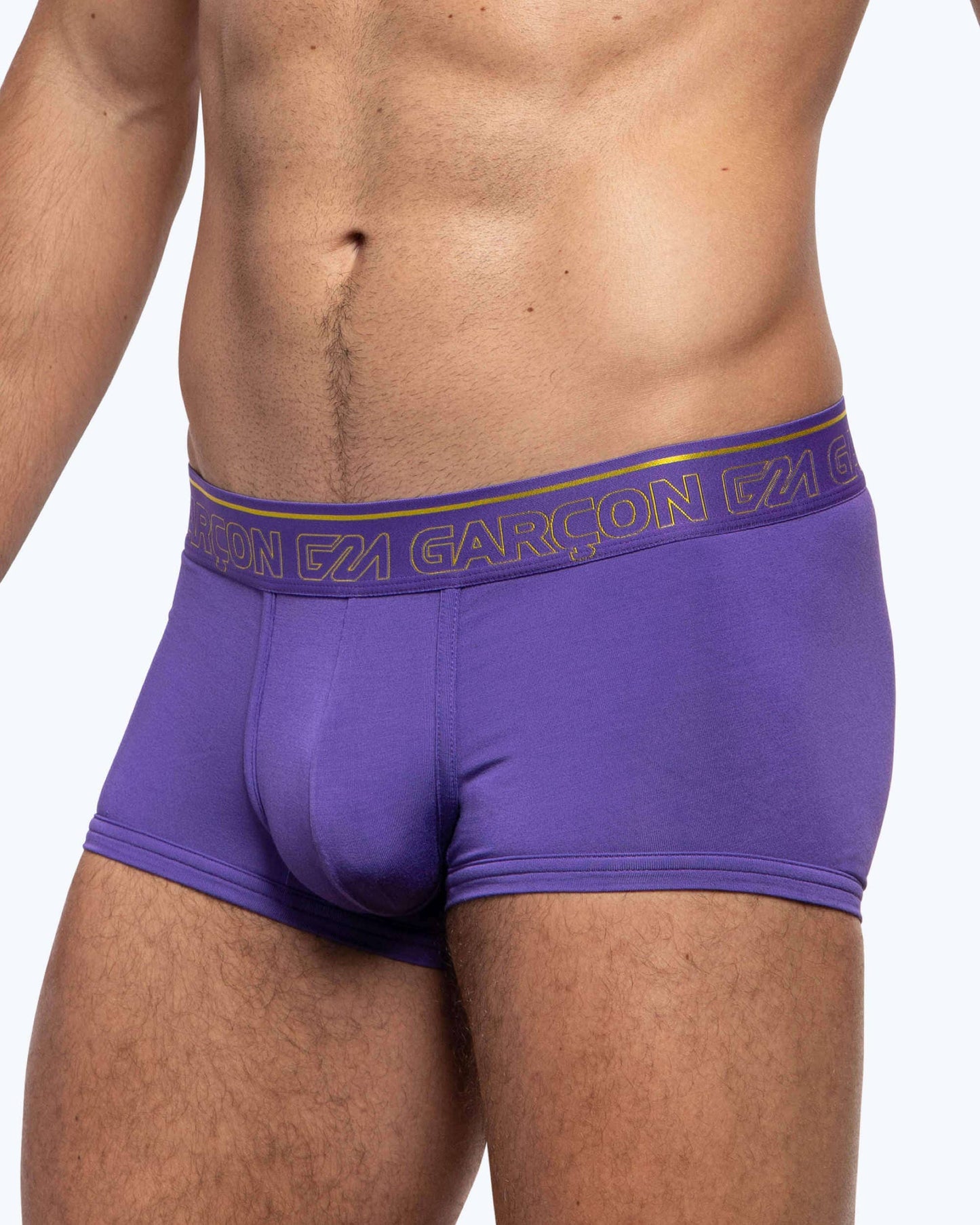 Purple Bamboo Trunk: S