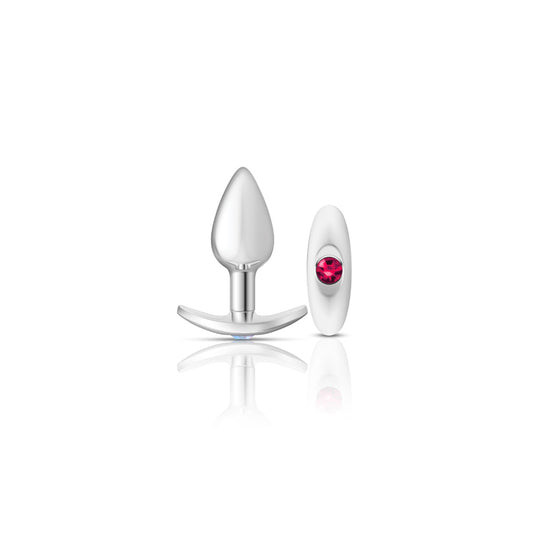 "Silver Anchor Buttplug Kit - Clear Iridescent/pink VB-CC9140"