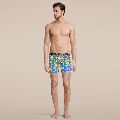 Men's Lemon Boxer Brief Underwear: S