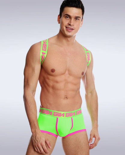 Lincoln Shoulder Harness - Vegas Pride Positions