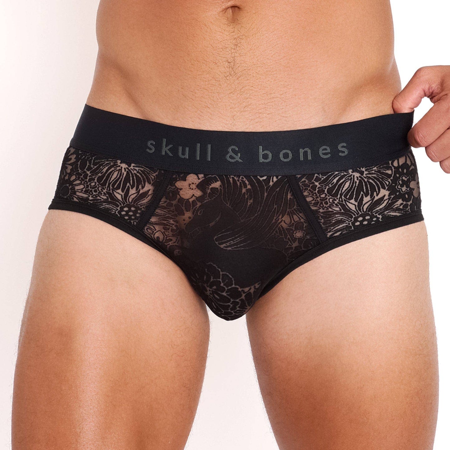 Pegasus Burnout Black Brief: - Vegas Pride Positions